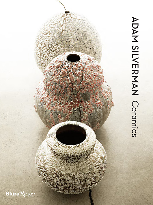 Adam Silverman Book Cover photographed by Stefano Massei