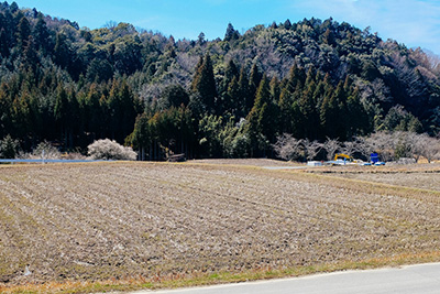Beautiful nature in the town of Hino, home of Japanese potter Keiji Tanaka.