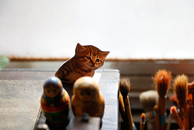 Cute cat picture and russian dolls inside his studio.